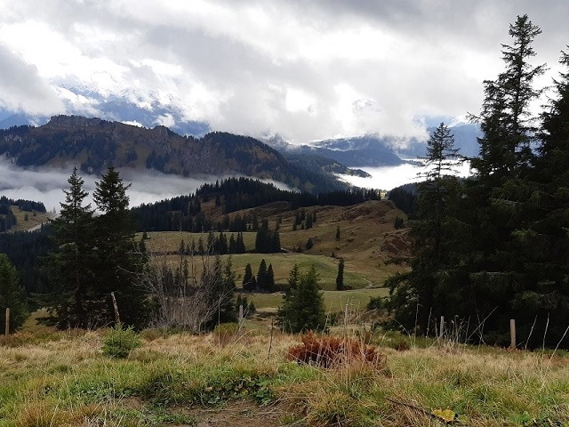 Hundetreffen 2019 im Allgäu (11)